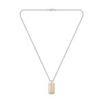 Collier homme boss bijoux devon - 1580576 acier dor�
