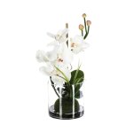 Composition orchide en vase h37
