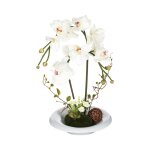 Composition orchidée en vase h46 Composition orchidée en vase h46