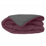 Couette l�g�re bicolore cocoon prune / acier