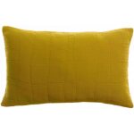 Coussin recycl titou absynthe