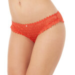 Culotte orange culottée camille cerf & pomm'poire - orange en dentelle Culotte orange culottée camille cerf & pomm'poire - orange en dentelle