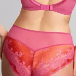 Culotte taille haute rose