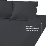 Drap - housse grand bonnet xl percale de coton tertio ; - anthracite