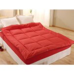 Edredon en duvet d'oie chaud - cerise