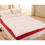 Edredon en duvet d'oie chaud - naturel