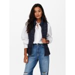 Gilet anti - froid bleu
