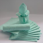 Lot de 12 serviettes de table arc en ciel vert d'eau 44 x 44 cm