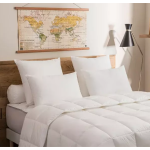 Lot de 2 oreillers moelleux micrococoon