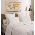Lot de 2 oreillers unis dodo maison anti - acariens moelleux 60x60 Lot de 2 oreillers unis dodo maison anti - acariens moelleux 60x60