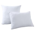 Lot de 2 sous taies molleton bi - ome antiacarien