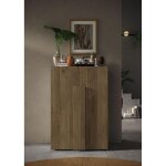 Meuble de rangement jessie 2 portes coloris ch�ne mercure