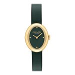 Montre femme coach sammy - 14504425 bracelet acier vert