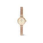 Montre femme daniel wellington petite mini - dw00100741