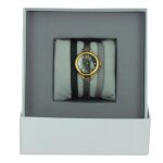 Montre les interchangeables a56744 femme