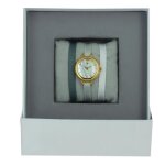 Montre les interchangeables a56803 femme