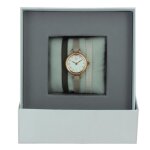 Montre les interchangeables a56982 femme