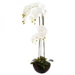 Orchide en pot cramique h115