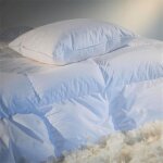 Oreillers 30% duvet eline