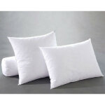 Oreiller antiacariens duvet canard becquet blanc Oreiller antiacariens duvet canard becquet blanc