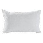 Oreillers antiacariens 30% duvet de canard neuf