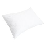 Oreiller chambord duvet & plumes