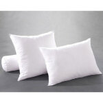 Oreiller eole fresh antitranspiration blanc