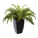 Pot de fougre en plastique
