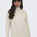 Pull col roul manches longues gabriel gris clair tess