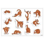 Set de table journée du chat assortis 30 x 45 Set de table journée du chat assortis 30 x 45
