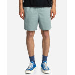 Shorts - homme bleu clair - element en coton