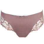 String - rose prima donna