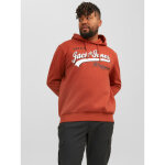 Sweat à capuche regular fit manches longues rouge foncé luka Sweat à capuche regular fit manches longues rouge foncé luka