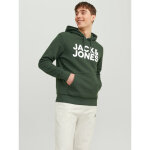 Sweat à capuche standard fit manches longues vert foncé remy Sweat à capuche standard fit manches longues vert foncé remy