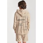 Sweat - shirt capuche garçon anibo beige en coton Sweat - shirt capuche garçon anibo beige en coton