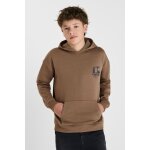 Sweat - shirt capuche defebo marron en coton quade