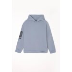 Sweat - shirt capuche garçon ruinobo gris sal en coton Sweat - shirt capuche garçon ruinobo gris sal en coton