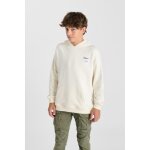 Sweat - shirt capuche rulbo beige hal