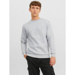 Sweat - shirt relaxed fit col ras du cou manches longues gris clair wade