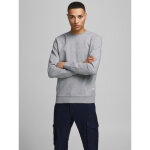 Sweat - shirt standard fit col rond manches longues gris clair