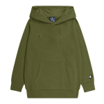Sweatshirt  capuche gar?on - vert