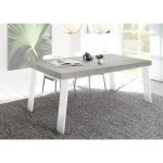 Table fixe palma avec pieds en fer