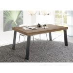 Table fixe palma avec pieds en fer mercure gris