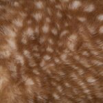 Tabouret enfant cerf
