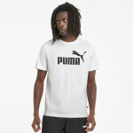 Tee - shirt homme fd ess logo