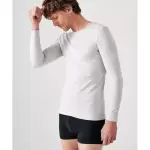 Tee - shirt manches longues col rond en mailles gris chin