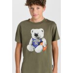 Tee - shirt tatiabo kaki troy