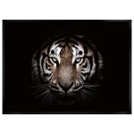 Toile imprimée bianca 50x70cm tête de tigre Toile imprimée bianca 50x70cm tête de tigre