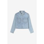 Veste apologi bleu cara