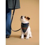 Bandana pour chien - collection fine truffe